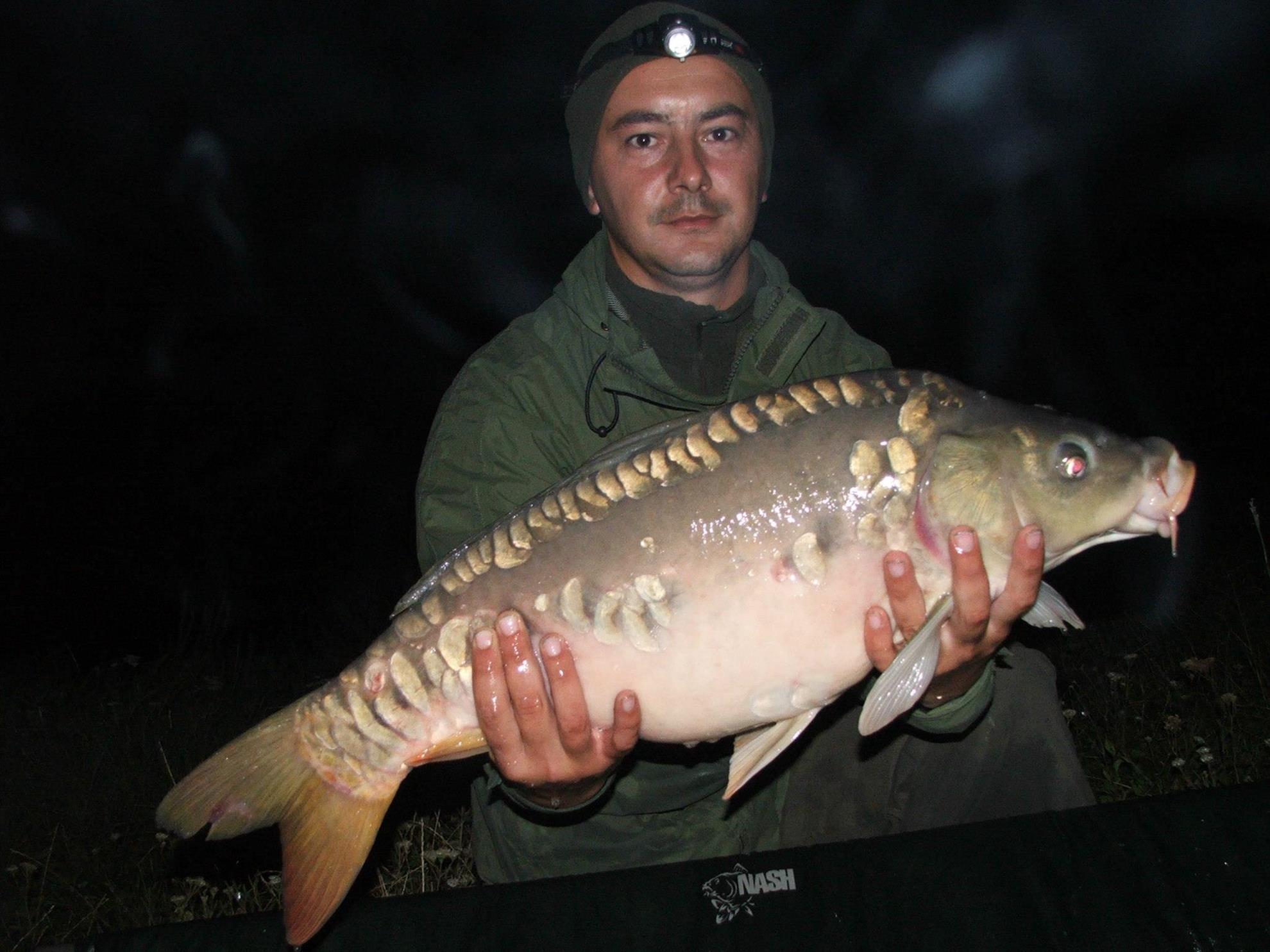 Lates 23-25 August - 1269414629183547148850313285477o.jpg